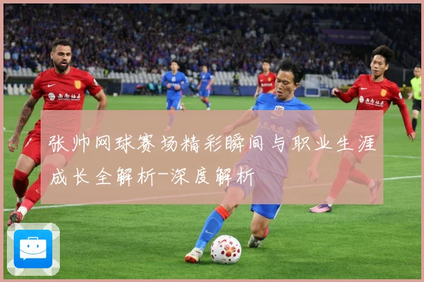 张帅网球赛场精彩瞬间与职业生涯成长全解析-深度解析
