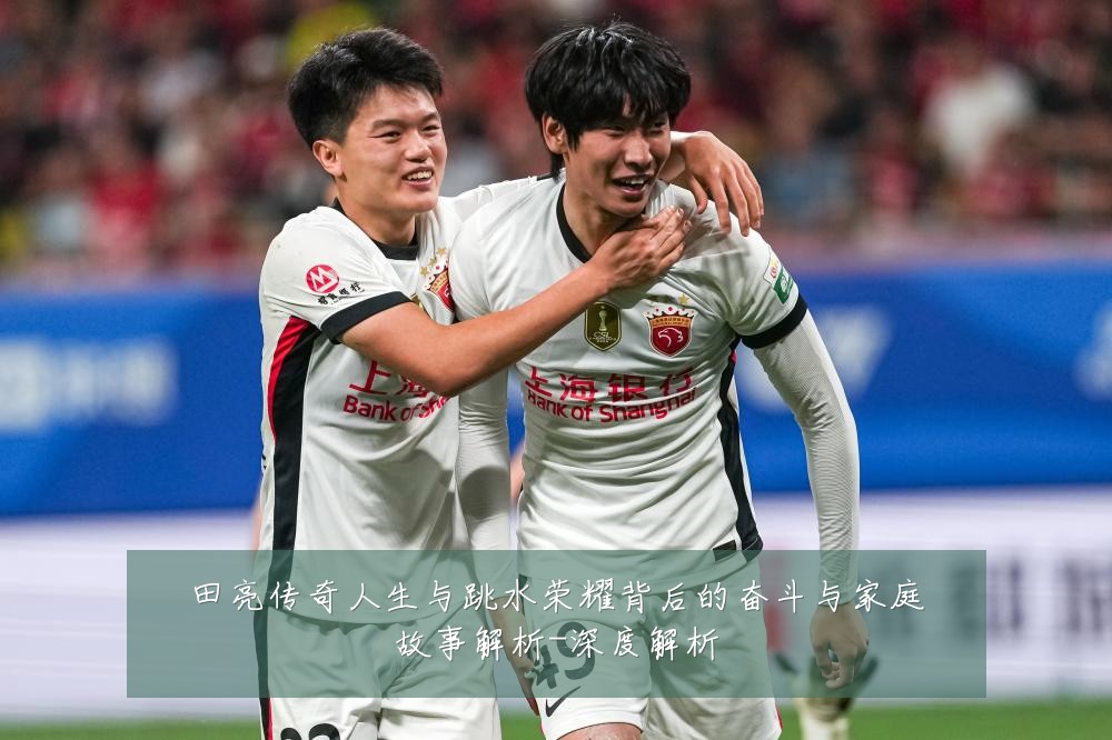 田亮传奇人生与跳水荣耀背后的奋斗与家庭故事解析-深度解析
